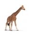 Фигурка Schleich от серията Дивия живот - Африка: Жираф - женски - 1t