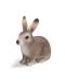 Фигурка Schleich от серията Дивия живот - Животните в Европа: Горски див заек - 1t