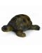 Фигурка Schleich от серията Малки домашни животни: Костенурка - малка - 1t