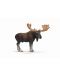 Фигурка Schleich от серията Дивия живот - Животните в Европа - 1t