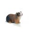 Фигурка Schleich от серията Малки домашни животни: Морско свинче - 1t