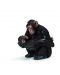 Фигурка Schleich от серията Дивия живот - Африка: Шимпанзе, женско с малко - 1t