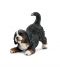 Фигурка Schleich от серията Кучета: Бернско пастирско кученце - 1t