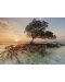 Пъзел Heye от 1000 части - Червено мангрово дърво, Александър фон Хумболт - 2t