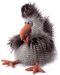 Плюшенa играчка Sigikid Beasts – Чудовище Cheerio Chicken - 1t