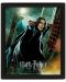 3D плакат с рамка Pyramid Movies: Harry Potter - Snape (Deathly Hallows) - 1t