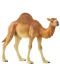 Фигурка Schleich Wild Life Africa - Едногърба камила - 1t