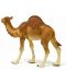 Фигурка Schleich Wild Life Africa - Едногърба камила - 2t