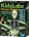 Образователен комплект 4M KidzLabs - Светещ скелет, отливки - 1t