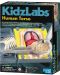Образователен комплект 4M KidzLabs - Анатомия на човешкото тяло - 1t