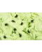 Кинетичен пясък Spider Slime - Зелен - 2t
