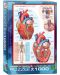 Пъзел Eurographics от 1000 части – Човешкото тяло, Сърце - 1t