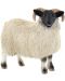Фигурка Bullyland Animal World - Шотландска овца - 1t