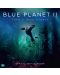 Стенен Календар Danilo 2019 - BBC Blue Planet - 1t