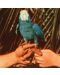 Andrew Bird - Are You Serious (CD) - 1t