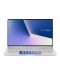 Лаптоп Asus ZenBook - UX434FAC-WB702T, сребрист - 1t