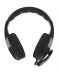 Гейминг слушалки Genesis - Argon 100, черни - 3t