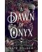 A Dawn of Onyx - 1t