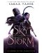 A Sky Beyond the Storm - 1t