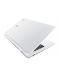 Acer Chromebook CB3-111 - 12t