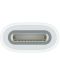 Адаптер Apple - Pencil/USB-C, бял - 3t