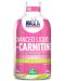 Advanced Liquid L-Carnitine, 500 ml, Haya Labs - 1t