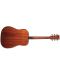 Акустична китара Ibanez - PF10, Open Pore Natural - 3t