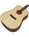 Акустична китара Ibanez - PF10, Open Pore Natural - 2t