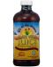 Aloe Vera Сок, 473 ml, Lily of the Desert - 1t