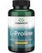 L-Proline, 500 mg, 100 капсули, Swanson - 1t