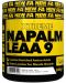 Xtreme Napalm LEAA 9, fruit massage, 240 g, FA Nutrition - 1t