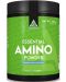 Essential Amino Powder, дъвка, 390 g, Lazar Angelov Nutrition - 1t