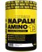 Xtreme Napalm Amino 13 + Electrolytes, манго с лимон, 450 g, FA Nutrition - 1t