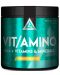 Vit/Amino, портокал, 300 g, Lazar Angelov Nutrition - 1t