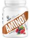 Amino Reload, горски плодове, 1000 g, Swedish Supplements - 1t