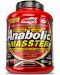 Anabolic Masster, горски плодове, 2200 g, Amix - 1t