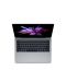 Apple MacBook Pro 13" Retina/DC i5 2.3GHz/8GB/256GB SSD/Intel Iris Plus Graphics 640/Space Grey - INT KB - 2t