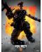 Арт принт Pyramid Games: Call of Duty - Battery - 1t
