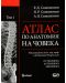 Атлас по анатомия на човека - том 1: Остеология, Артрология, Миология - 1t