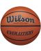 Баскетболна топка Wilson - Evolution, размер 7, кафява - 1t