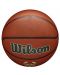 Баскетболна топка Wilson - NBA Team Alliance Basketball, размер 7 - 3t