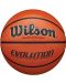 Баскетболна топка Wilson - Evolution, размер 6 - 1t