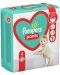 Бебешки пелени гащи Pampers 4, 25 броя - 1t