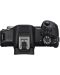 Безогледален фотоапарат Canon - EOS R50, RF-S 18-45mm, f/4.5-6.3 IS STM + Обектив Canon - RF 50mm, F/1.8 STM - 8t