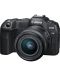 Безогледален фотоапарат Canon - EOS R8, RF 24-50mm, f/4.5-6.3 IS STM + Обектив Canon - RF 35mm f/1.8 IS Macro STM - 2t