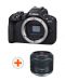 Безогледален фотоапарат Canon - EOS R50, 24.2MPx, черен + Обектив Canon - RF 35mm f/1.8 IS Macro STM - 1t