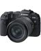 Безогледален фотоапарат Canon - EOS RP, RF 24-105mm, f/F4-7.1 IS, черен + Обектив Canon - RF 35mm f/1.8 IS Macro STM - 2t
