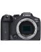 Безогледален фотоапарат Canon - EOS R7, Black - 1t