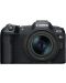 Безогледален фотоапарат Canon - EOS R8, RF 24-50mm, f/4.5-6.3 IS STM + Обектив Canon - RF 50mm, F/1.8 STM - 3t