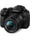 Безогледален фотоапарат Panasonic - Lumix DC-G90, 14-140mm, Black - 1t